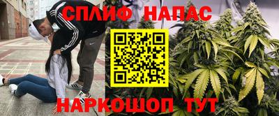 сатива Нарткала